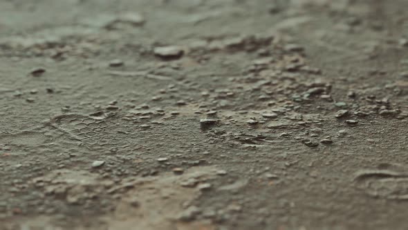 Closeup of Dirty Ground Road