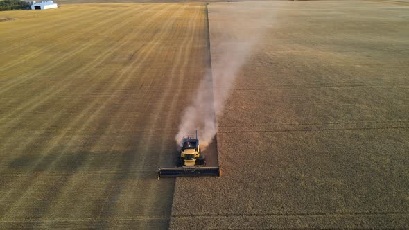 Aerial frontal drone view of a modern combine harvester reaping wheat in Alberta, Canada.