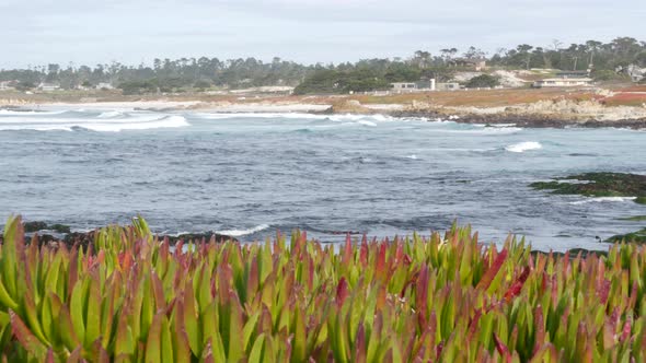 17Mile Drive Monterey California