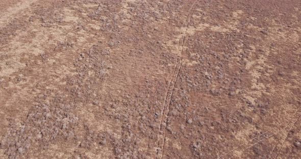 Drone Tilt Down View Arid Dry Desert Scrub Field with Criss Crossed Road Tracks