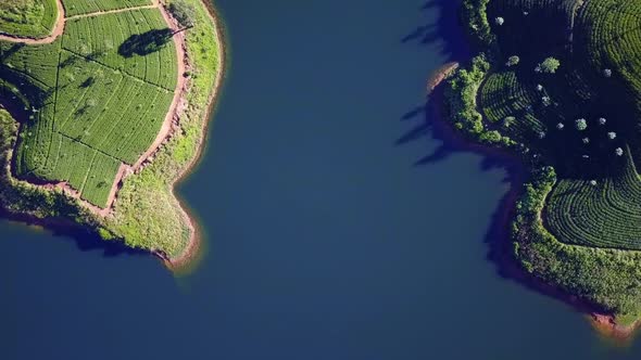 Aerial view of hills with tea plantation and river misty morning Sri Lanka drone