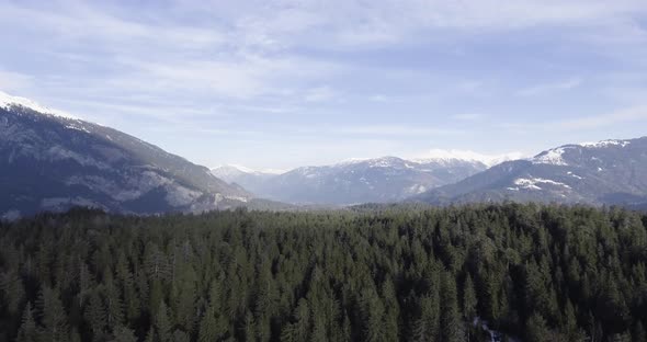 Flight over a forest in Switzerland.