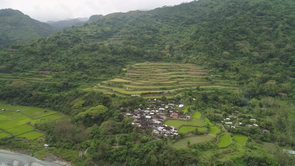 Rice Terraces in the Mountains