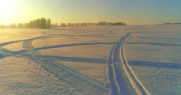 Aerial Drone View of Cold Winter Landscape with Arctic Field, Trees Covered with Frost Snow and