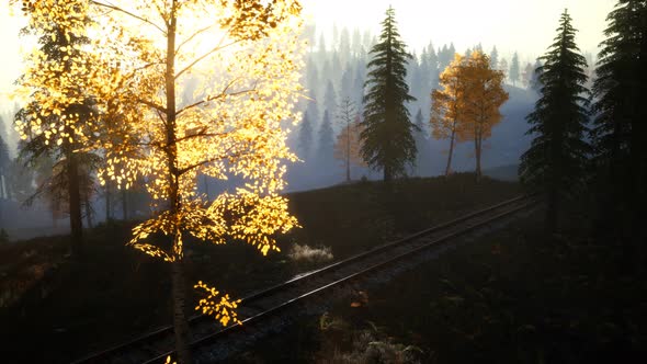 National Forest Recreation Area and the Fog with Railway