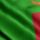 Flag Of Zambia - VideoHive Item for Sale