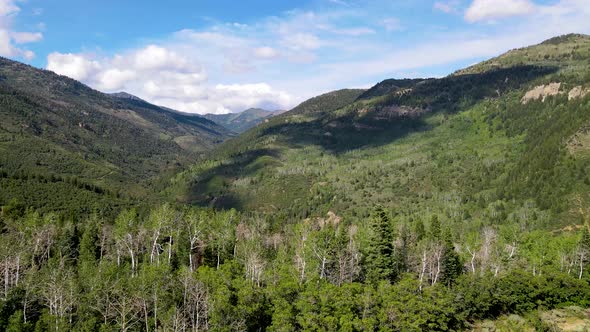 Flying over tree tops in a vast forest and mountain wilderness with no people