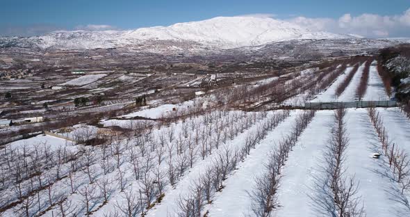 Aerial view of a dry vineyard in the snow, Golan Heights, Israel.