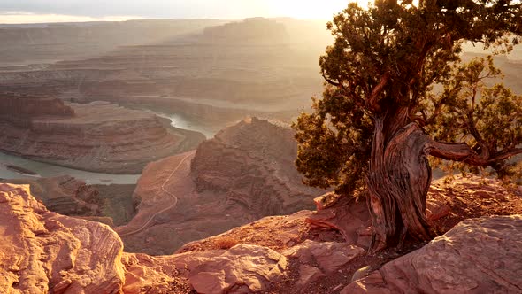 Dead Horse Point State Park, USA. Walking the Edge of a Cliff, Sun Beams Getting Through Branches 