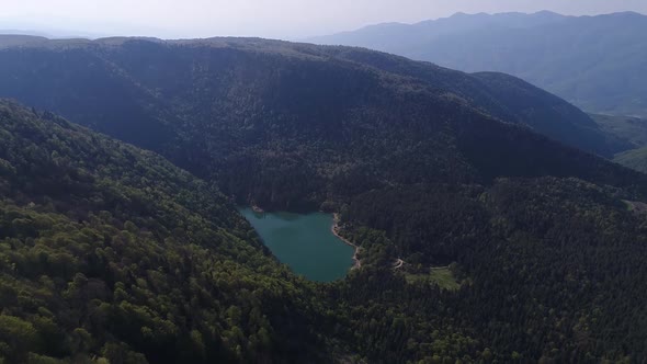 Lake in forest