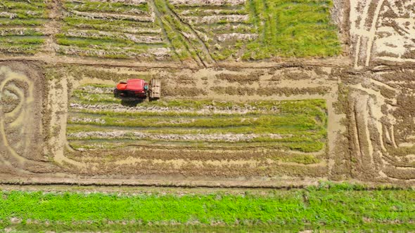 Paddy Field with Water, Top View, Agriculture in the Philippines