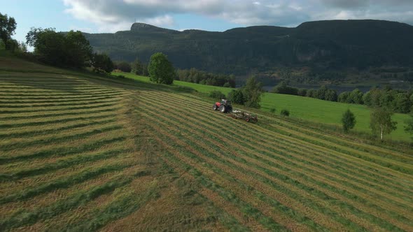 Silage Production. Hay Turner Pulled By Tractor Turning Grass On Farmland In Norway. wide aerial