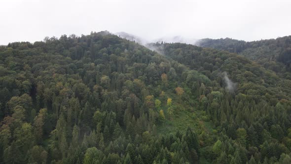 Nature of Ukraine: Carpathian Mountains Slow Motion. Aerial View