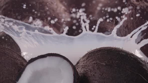 Coconut Falling Into Milk with Splash