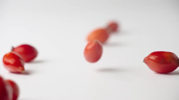 Rosehip Fruits On White Background