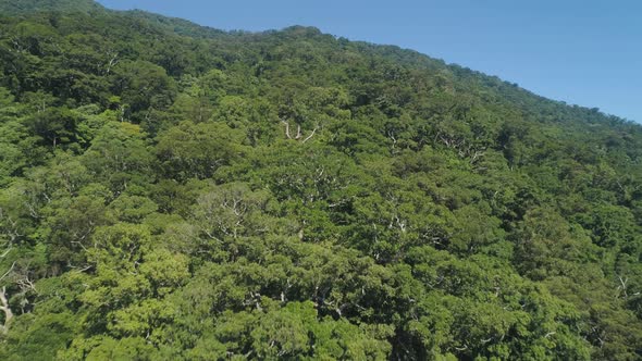 View of Mountain Landscape with Rainforest