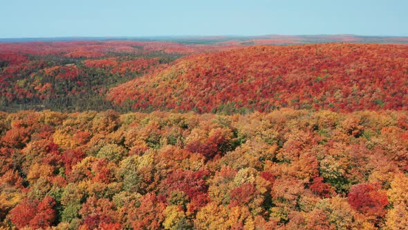 Aerial view flying over rolling hills with dense forest and beautiful fall colors - drone day