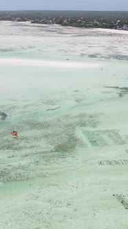 Tanzania  Vertical Video of Low Tide in the Ocean Near the Coast of Zanzibar Slow Motion