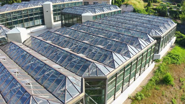 Flying Above Glass Roof of Beautiful Greenhouse with Flowers. Botanical Garden in Summer