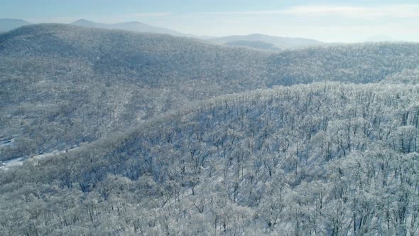 Aerial Winter Mountain Landscape of a Frozen Forest with Snow and Ice Covered Trees on a Sunny