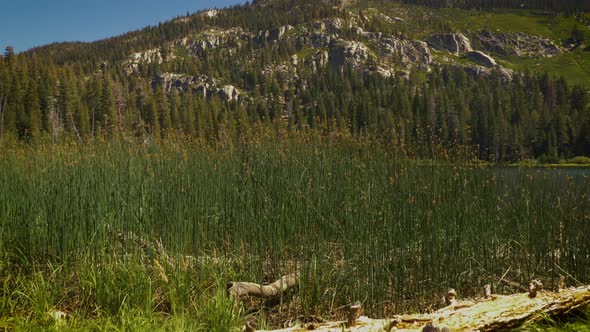 Sotcher Lake in the Ansel Adams Wilderness in California USA