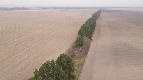 Land in a Plowed Field in Autumn