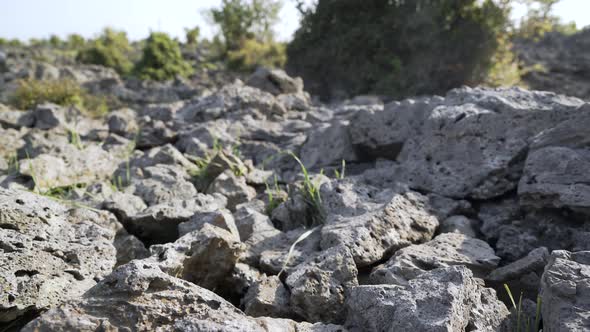 Broken Basalt Stones