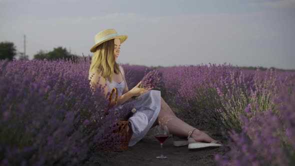 a Blonde Girl in a Hat on a Lavender Field Sits in the Bushes Makes a Bouquet of Lavender Branches