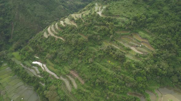 Rice Terraces Mountains