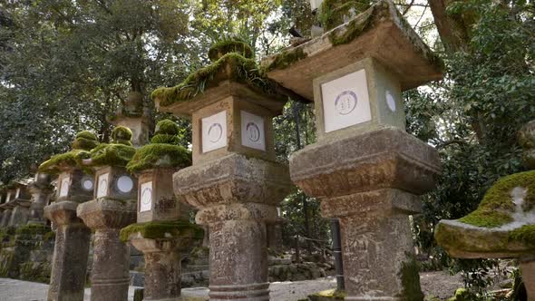 Stone Lanterns in Kasugataisha Shrine Nara Japan