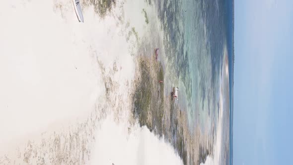 Vertical Video of Low Tide in the Ocean Near the Coast of Zanzibar Tanzania Aerial View