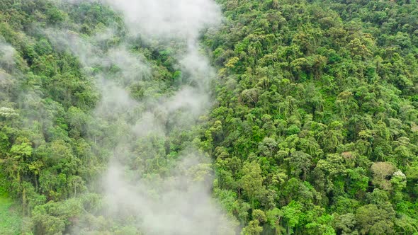 Cordillera on Luzon Island, Philippines, Aerial View. Mountains and Rainforest