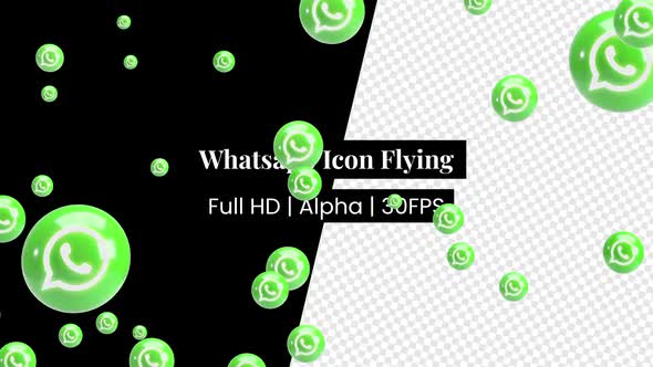 3D Whatsapp Icon Logo Flying with Alpha