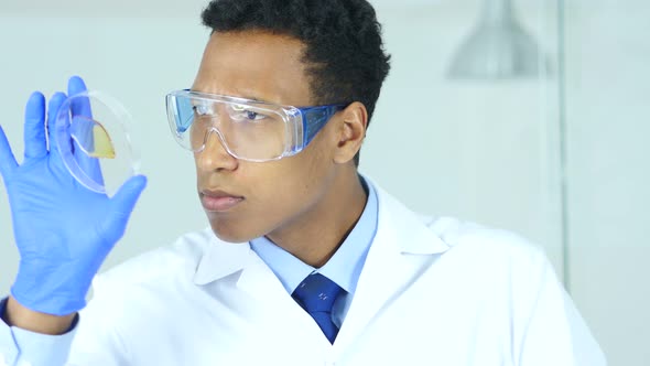 Medical Scientist Studying Reaction in Watch Glass in Laboratory