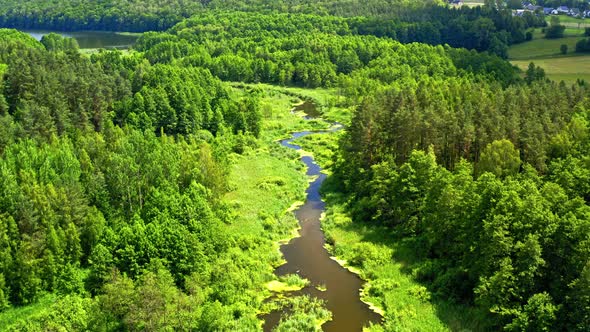 Green forest and river in Tuchola natural park, aerial view