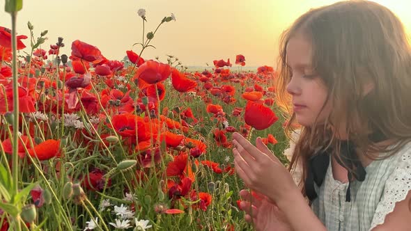 Happy girl in a field of blooming red poppies. Leisure in nature. Enjoying 4k