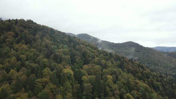 Aerial View of the Carpathian Mountains in Autumn