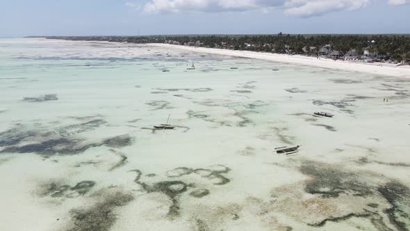 Low Tide in the Ocean Near the Coast of Zanzibar Island Tanzania