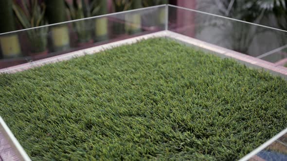 Selection of Artificial Grass Carpet Close Up Shop Supermarket