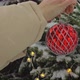 Christmas Tree Outdoors - VideoHive Item for Sale