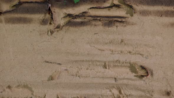 Transition Burning Cardboard