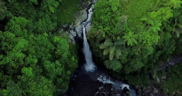 Aerial view from drone flying over nature view of waterfall in the middle dense of trees. nature is