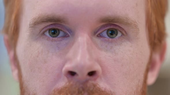 Close Up of Blinking Eyes of Redhead Man Looking at the Camera 