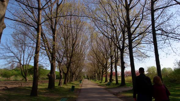 Young Couple Walking Along the Alley of City Park on Spring Day