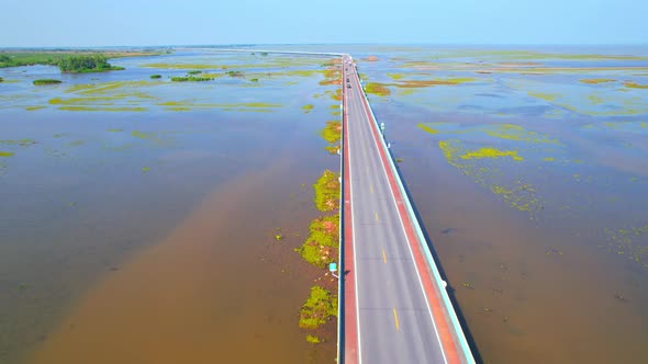 Drone video of the road leads through a large beautiful wetland.