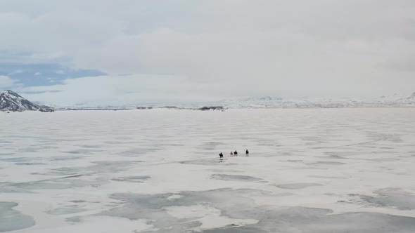 Aerial view showing group of tourist with horses riding over frozen Lake Myvatn on Iceland Island