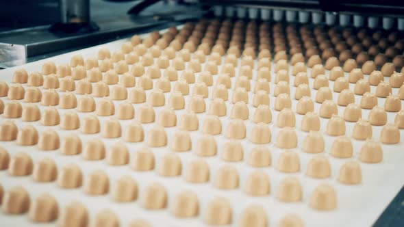 Sweets Are Moving Along the Conveyor After Manufacturing