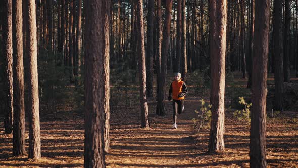 Young Woman Jogging on Trail in Autumn Forest at Sunrise