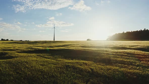 The Light of the Rising Sun Illuminates the Meadow on Which is Wind Generator