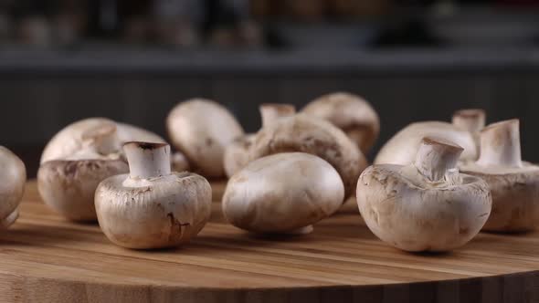 porcini champignon mushrooms rotating